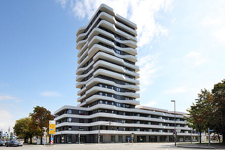 ©Conné van d’Grachten