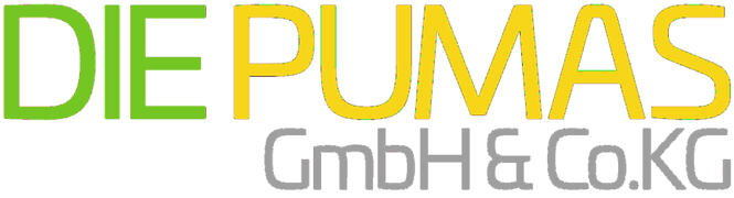 DIE PUMAS Betonförderung